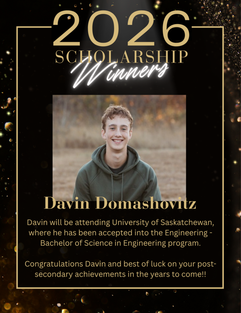 Davin Domashovitz